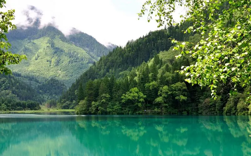 科技高端